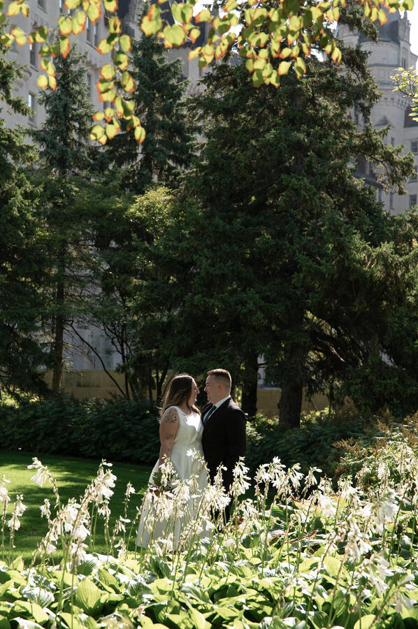 In The Park In The Park